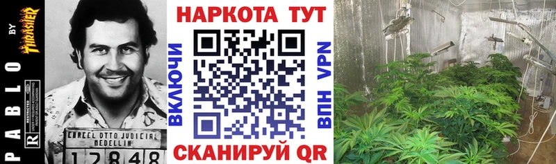 Все наркотики Выкса Бошки Шишки Псилоцибиновые грибы АМФ ГАШ Cocaine Меф мяу мяу