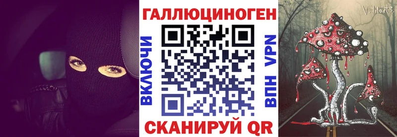 как найти   Выкса  Галлюциногенные грибы Psilocybine cubensis 