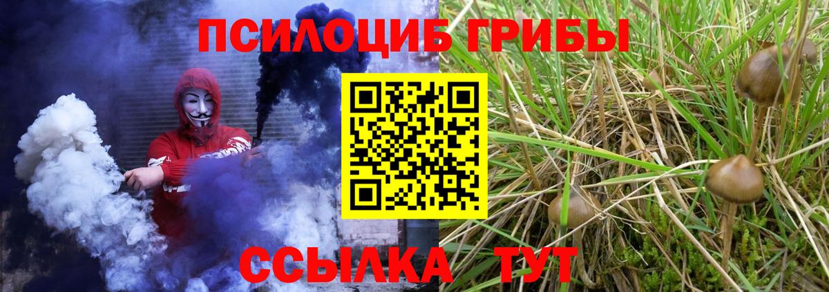 Выкса  Галлюциногенные грибы мухоморы  Вход с VPN 