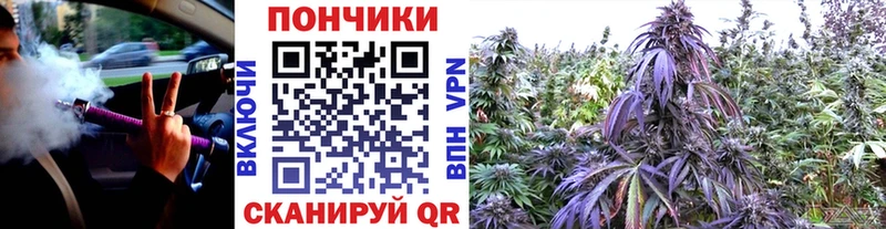 Бошки Шишки тримм  продажа наркотиков  Выкса 